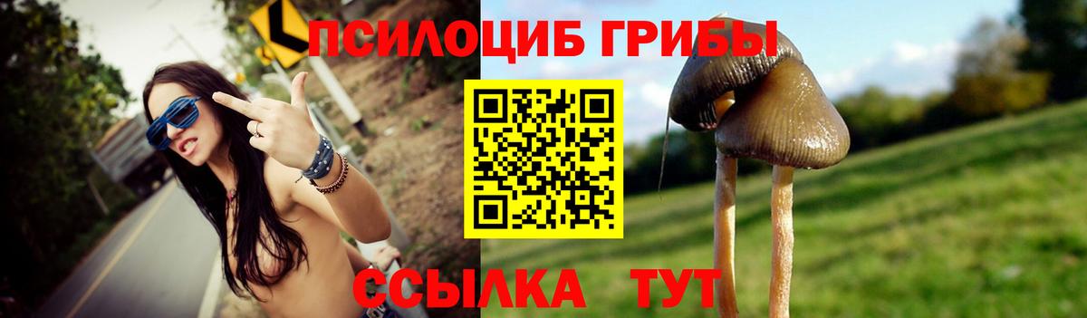 Алапаевск  Галлюциногенные грибы Magic Shrooms  Вход с VPN 
